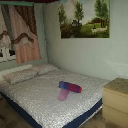 Room In Studio - Studio Nearby Central Station Anvers Dış mekan fotoğraf